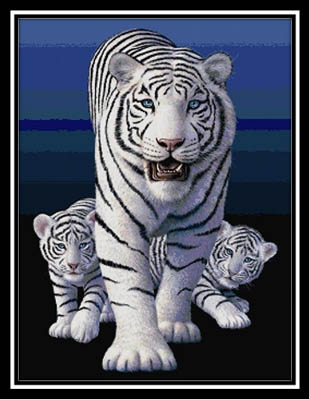 click here to view larger image of White Tigers (chart)