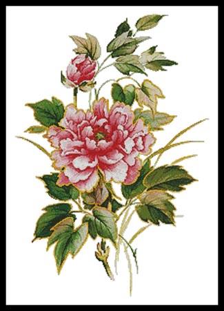 click here to view larger image of Antique Rose (chart)