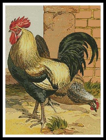 click here to view larger image of Coloured Dorking Chickens (chart)