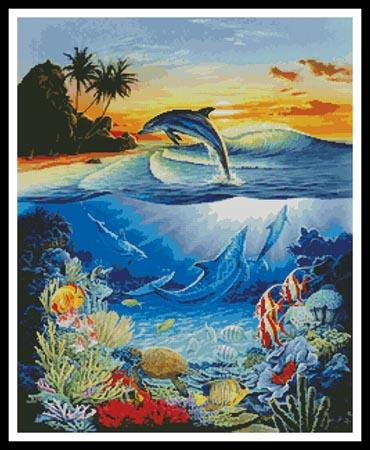 Dolphin Lagoon  (Robin Koni)