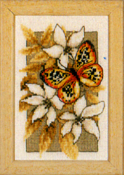 Butterfly on Flowers III