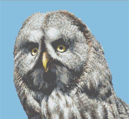 click here to view larger image of Grey Owl (chart)