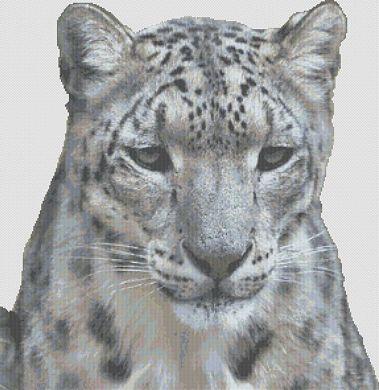 click here to view larger image of Snow Leopard (chart)
