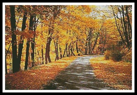 Path Through Autumn Trees