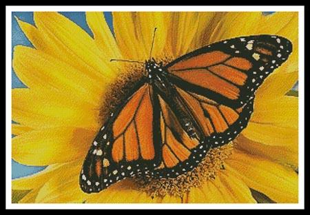 click here to view larger image of Monarch Sunflower (Wave-Corbis) (chart)