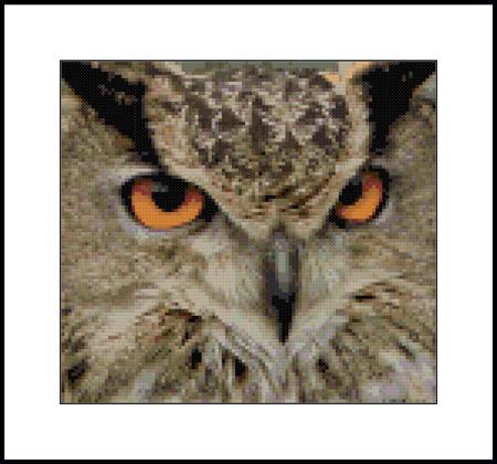 click here to view larger image of Close Up Owl (chart)