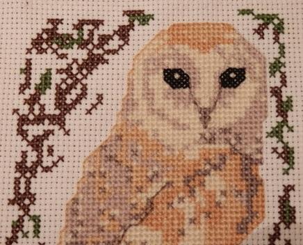click here to view larger image of Birds Series Barn Owl (chart)