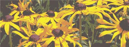 click here to view larger image of Black Eyed Susans (chart)