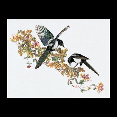 click here to view larger image of Magpie (36ct) (counted cross stitch kit)
