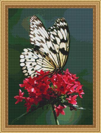 click here to view larger image of Butterfly Splendor (chart)