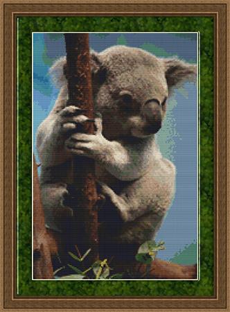 click here to view larger image of Koala (chart)