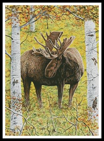 click here to view larger image of Moose in the Meadow  (Mike Bennett) (chart)