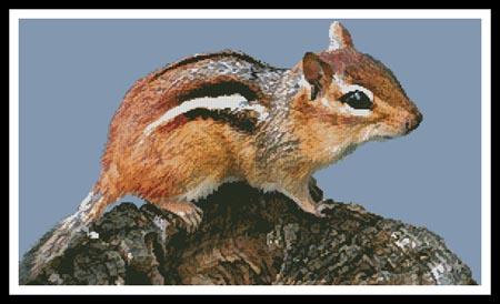 click here to view larger image of Chipmunk (chart)