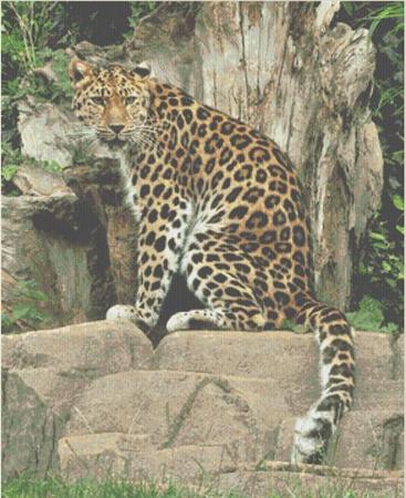 click here to view larger image of Leopard on Throne (chart)