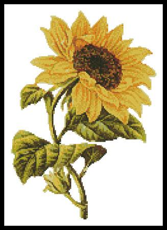 click here to view larger image of Golden Sunflower (chart)