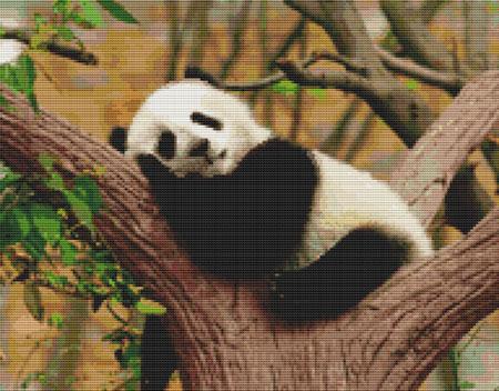 click here to view larger image of Napping Panda (chart)
