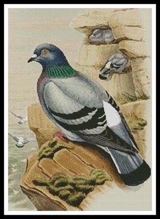 click here to view larger image of Pigeon  (John Gould) (chart)