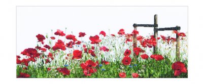 click here to view larger image of Poppies - On Aida (counted cross stitch kit)
