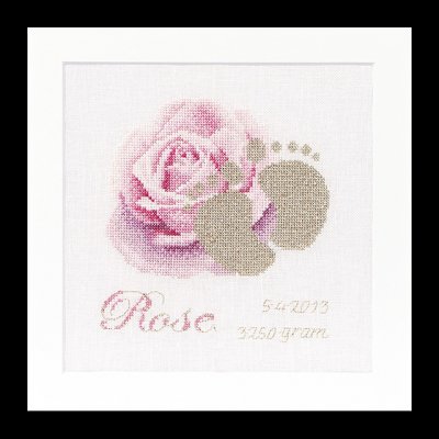 click here to view larger image of Birth Sampler - Rose - 36ct Linen (counted cross stitch kit)
