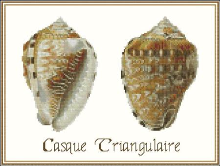click here to view larger image of Shell Casque Triangulaire (chart)