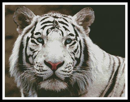 click here to view larger image of White Tiger 2 (chart)