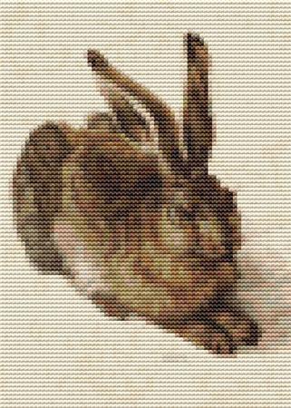 Young Hare, The - Mini Chart (Albrecht Durer)