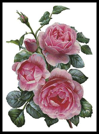 click here to view larger image of Pretty Pink Roses  (Olga and Alexey Drozdov) (chart)