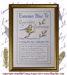 click here to view larger image of Eurasian Blue Tit - Ornithological Index Card (chart)