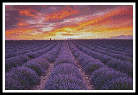 click here to view larger image of Field of Lavender At Sunrise (chart)
