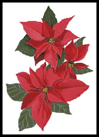 click here to view larger image of Poinsettia Flowers  (Claire Harkness) (chart)