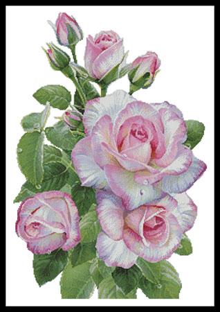 Morning Roses  (Olga and Alexey Drozdov)
