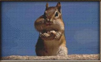 click here to view larger image of Chipmunk With Peanut (chart)