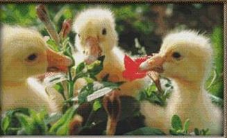 click here to view larger image of Cute Ducklings (chart)