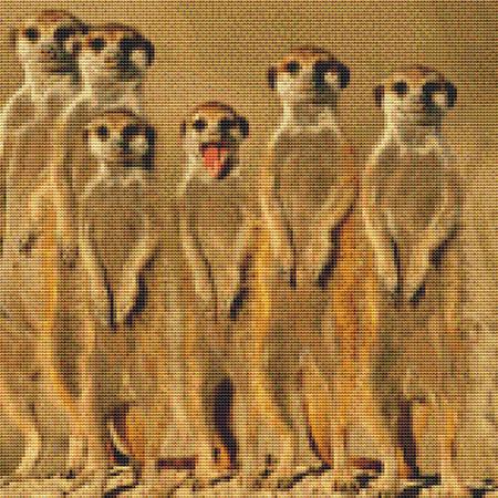 click here to view larger image of Meercat Family (chart)