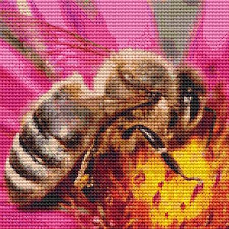 click here to view larger image of Pollinating Bee (chart)