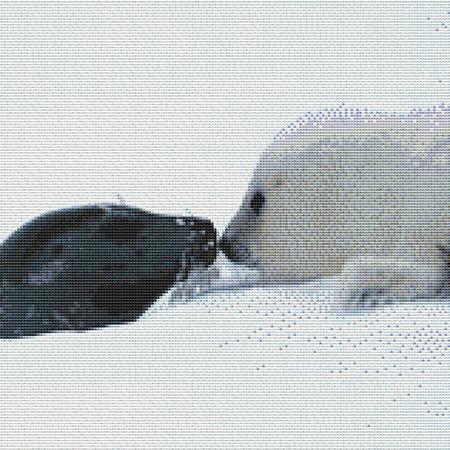 click here to view larger image of Cute Baby Seals (chart)