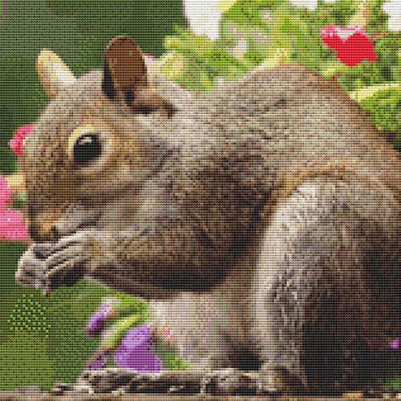 click here to view larger image of Cute Squirrel (chart)