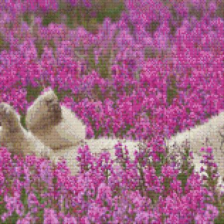 click here to view larger image of Flower Field Polar  Bear (chart)