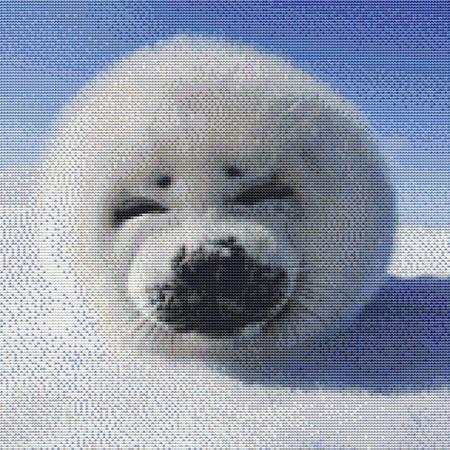 click here to view larger image of Cute Baby Seal (chart)