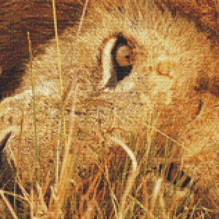 click here to view larger image of Lion Close-Up (chart)