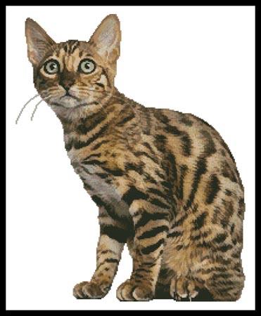 click here to view larger image of Bengal Cat (chart)