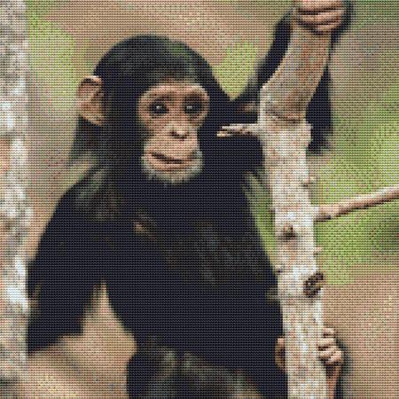 click here to view larger image of Cute Baby Chimp (chart)