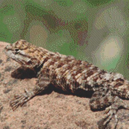 click here to view larger image of Camouflaged Lizard (chart)