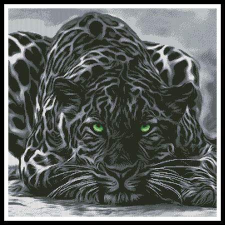 click here to view larger image of Black Leopard (chart)