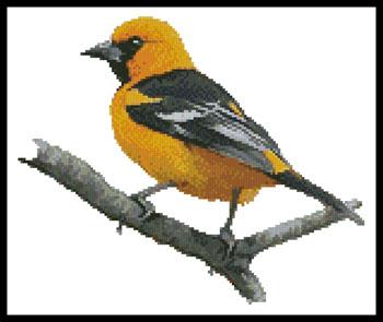 click here to view larger image of Oriole  (Claire Harkness) (chart)
