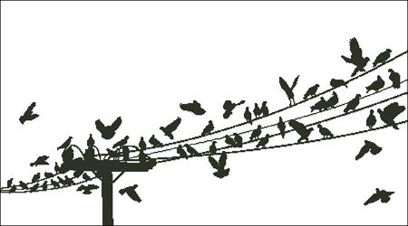 click here to view larger image of Birds On A Wire (chart)