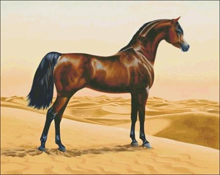 click here to view larger image of Arab Horse (chart)