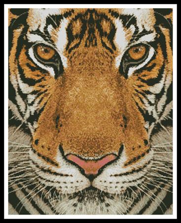 click here to view larger image of Bengal Tiger (Color) (chart)
