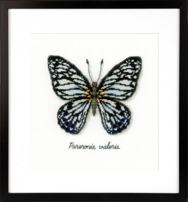 click here to view larger image of Blue Butterfly (counted cross stitch kit)