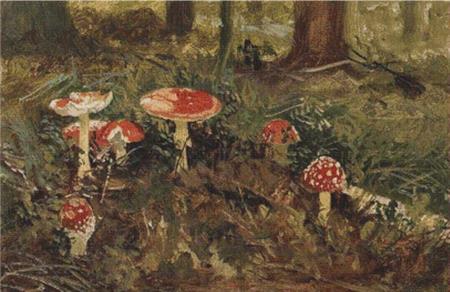 click here to view larger image of Amanita (chart)